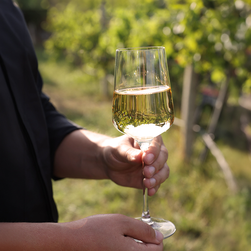 Weinglas mit Kretschko-Wein