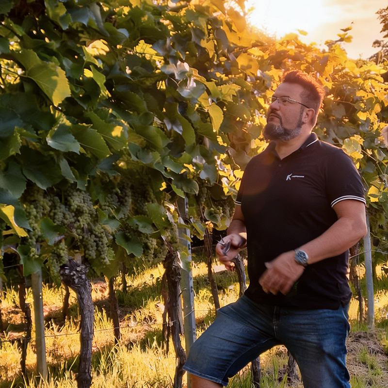 Weinlese und Handarbeit
